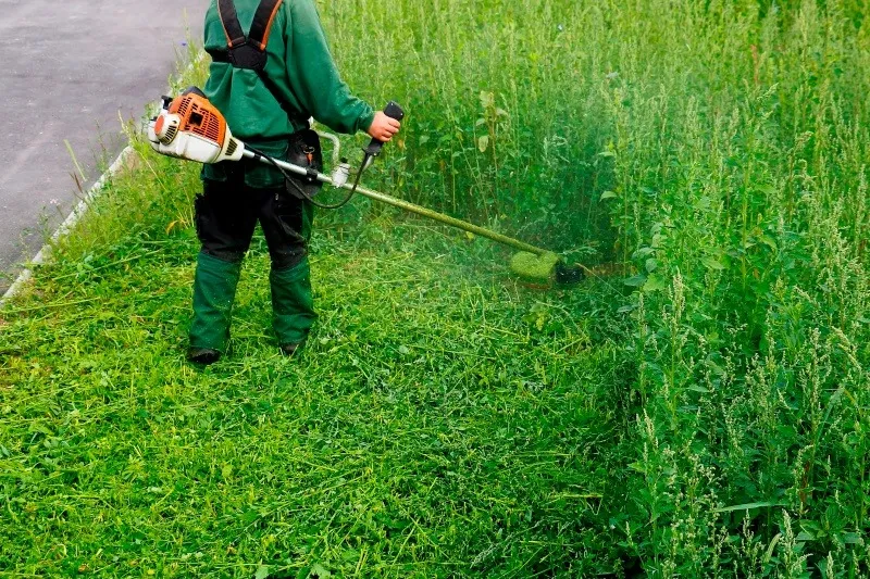 草刈り